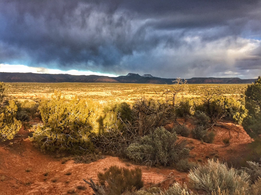 Photo-Feb-23-5-25-17-PM