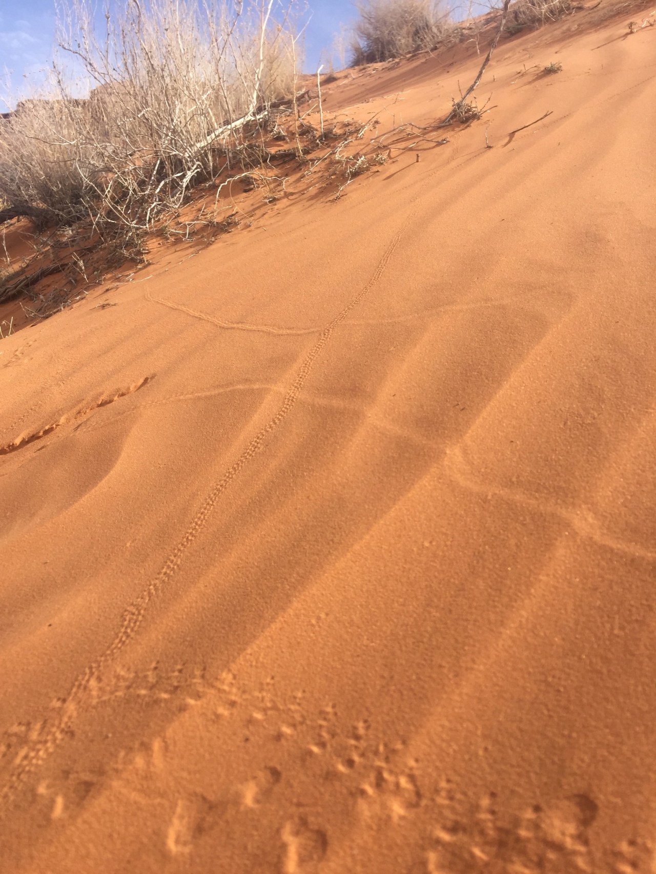 Photo Mar 12, 11 28 21 AM