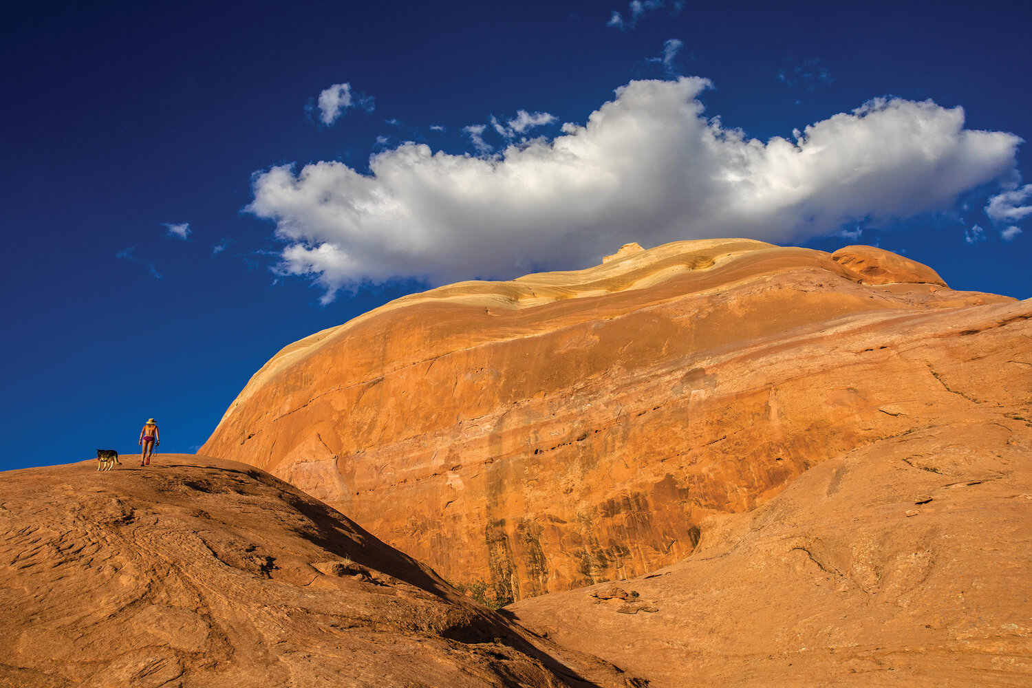 Seeking a high viewpoint near the route to Rainbow Bridge. Photo by Stephen Eginoire